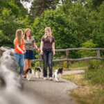 Kleurrijk, warme foto's, buitenshoots Eindhoven, Gezinsportret