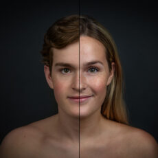 SplitFace Art Portret