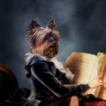 oude meester stijl - dierenfoto - hondenfotografie - 18e eeuw