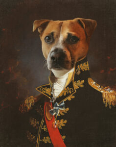 Fantasie-honden-portret-Photo Osenga