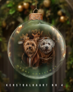 Kerstbal kaart- kerstfoto